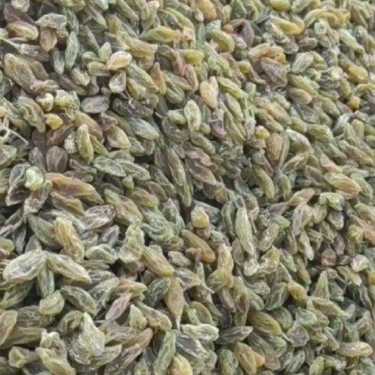 吐鲁番新疆绿葡萄干 5一9元的