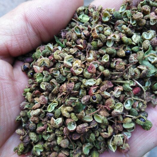 济南 花椒，莱芜青花皮花椒