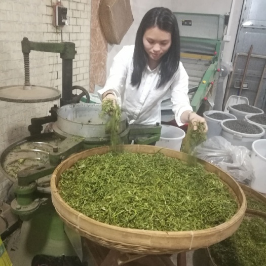 惠东县高山野生茶 一级 罐装