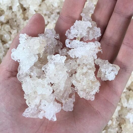 成都雪燕  精挑特级