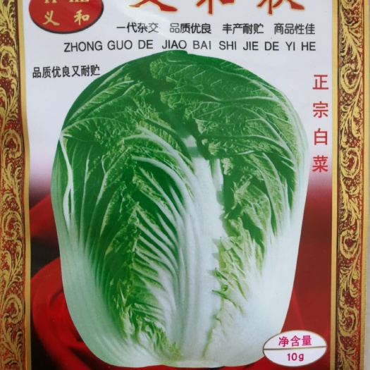  秋白菜种子（义和秋）