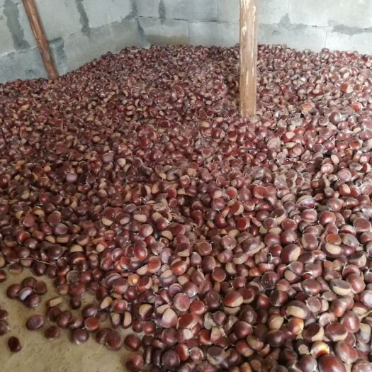  无化肥无农药新鲜板栗6快一斤。