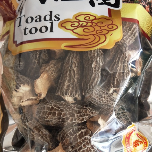 羊肚菌菌种 羊肚菌