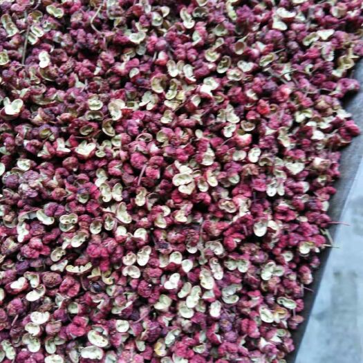 汉源花椒 特级 干花椒