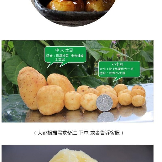马尔科种薯 恩施马尔科小土豆，10克20克，夏天放二个月不烂，不长芽，
