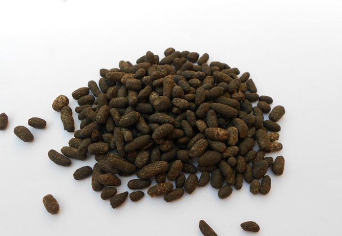 五灵脂 纯货 干货 量大优惠