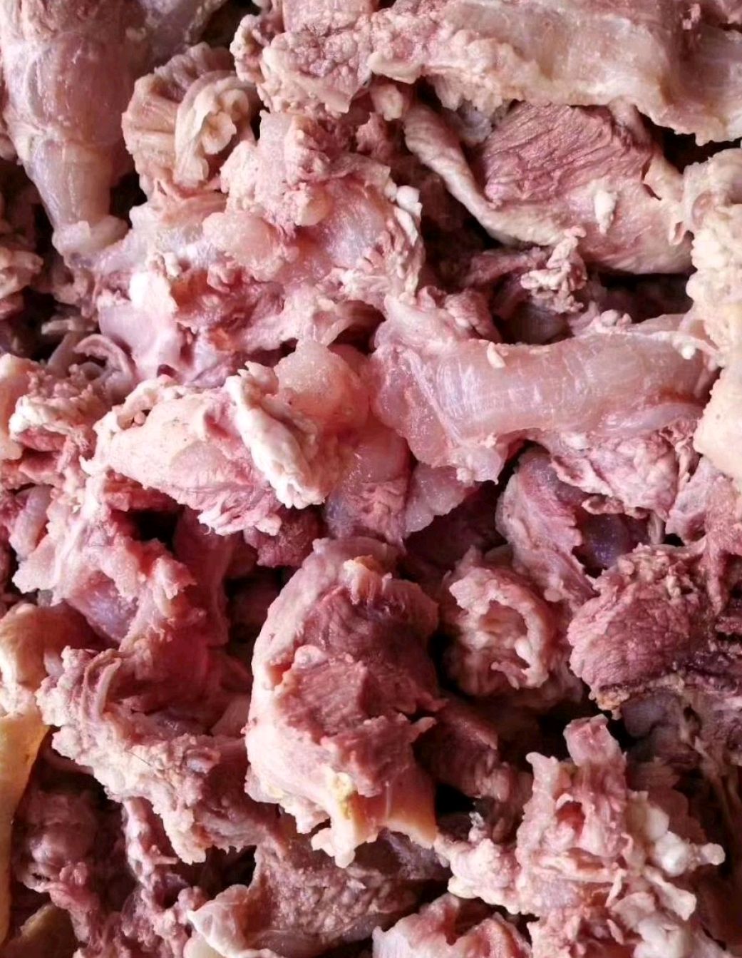 牛筋  熟肉筋 筋头巴脑