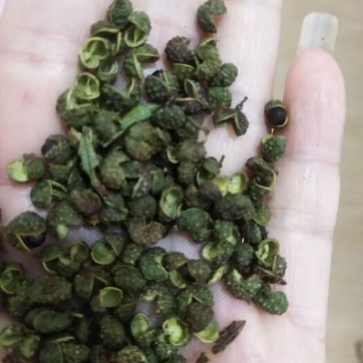 丽江鲁甸花椒 青麻椒