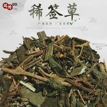  豨签草   一公斤包邮到家