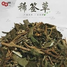 定州市 豨签草   一公斤包邮到家