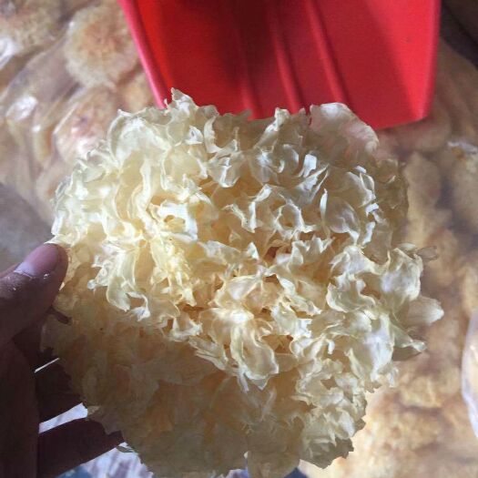 银耳，白木耳，产地直销