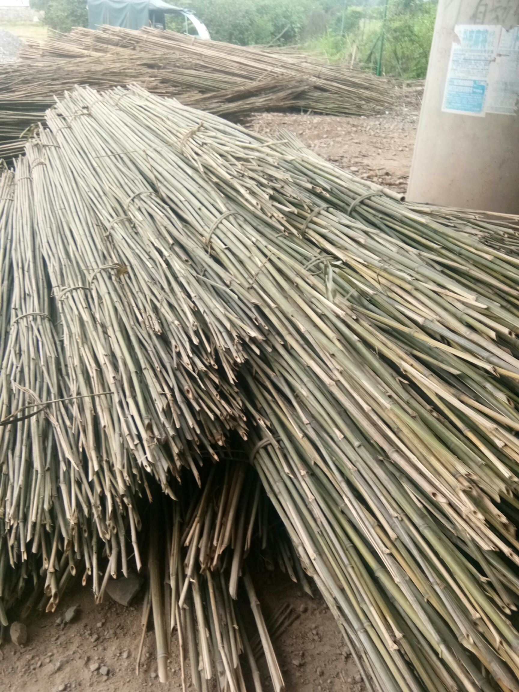 莱架竹  1.5-6米菜架竹价格实惠，水竹，苦竹