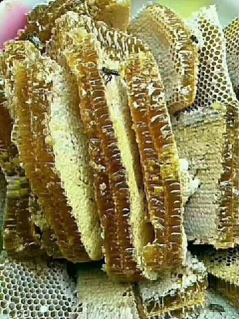 寻乌县土蜂蜜 东江源百花蜜