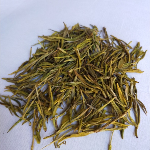 松阳县黄金茶  直销批发，黄茶黄金芽（春夏茶都有）高山云雾茶，口感醇厚