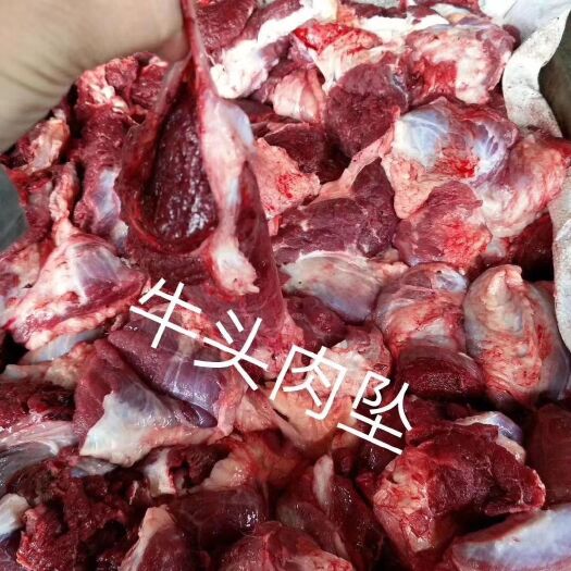 阳信县 鲜牛肉块，每天鲜货速冻，，是餐厅，饭店的理想食材