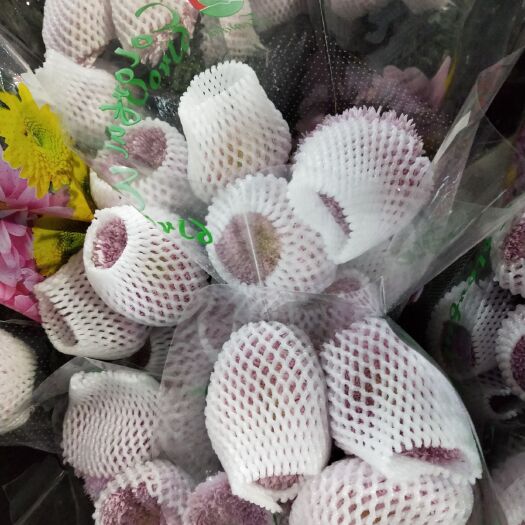 昆明 乒乓球菊昆明直发