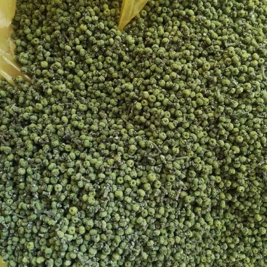 樟树市江西中花吴茱萸 茶辣基地直销 包药检1斤包邮免费打粉