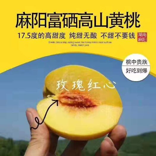 麻阳县 正宗高山黄桃，正在热销中，抓紧时间下单，现摘现发。