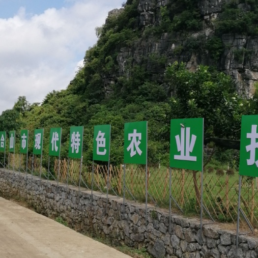 合山市红不软桃苗 1.5~2.0米