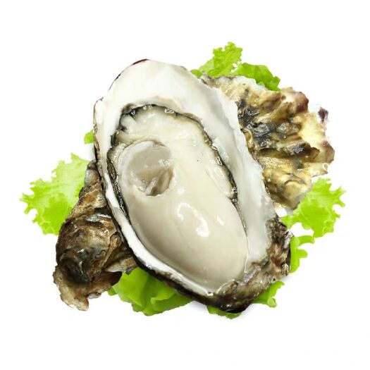 乳山市三倍体生蚝 大连蚝，生蚝二倍体，生蚝三倍体。生蚝批发