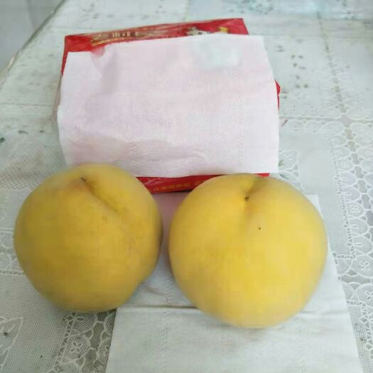 望都县 黄金冠黄桃