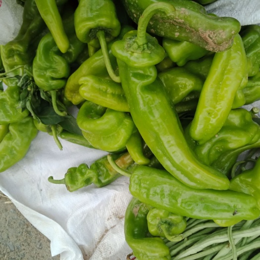 商丘牛角王 中辣