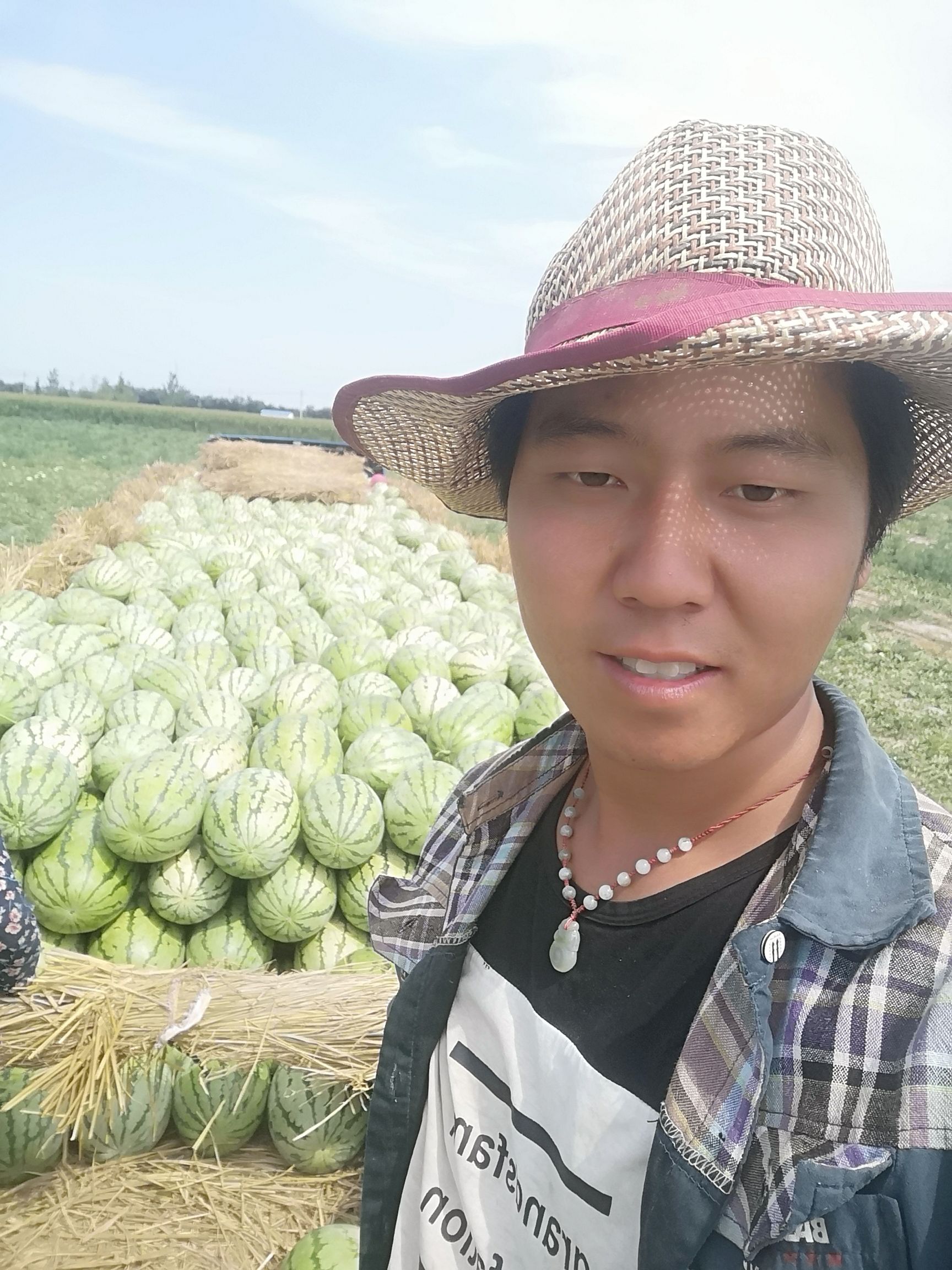 新疆西瓜，金城5号，保质保量