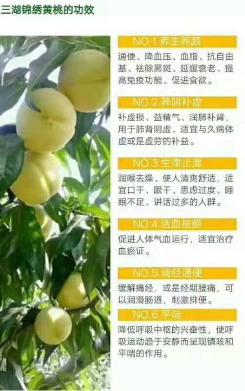 江陵县锦绣黄桃 55mm以上 4两以上