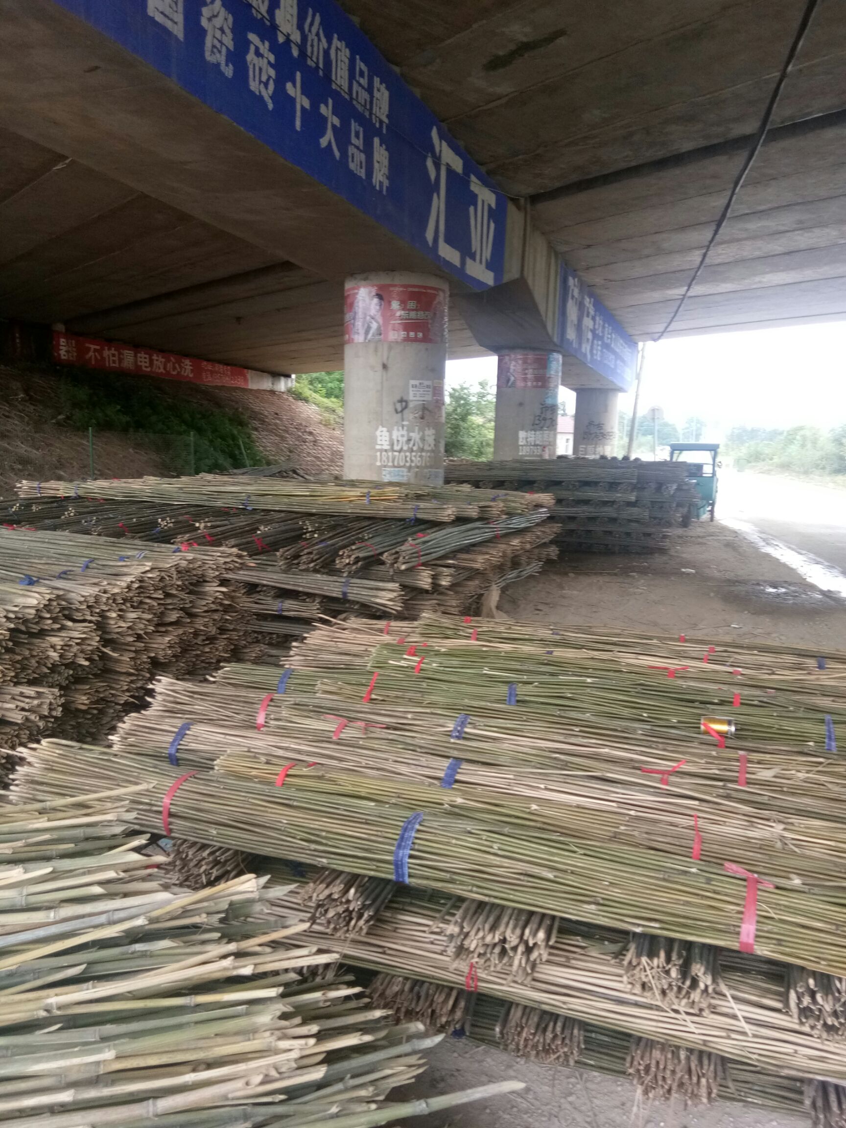 莱架竹  1.5-6米菜架竹价格实惠，水竹，苦竹