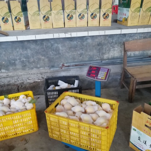 炎陵县 炎陵高山黄桃因炎陵县独特的土质与气候，形成其独特的品质