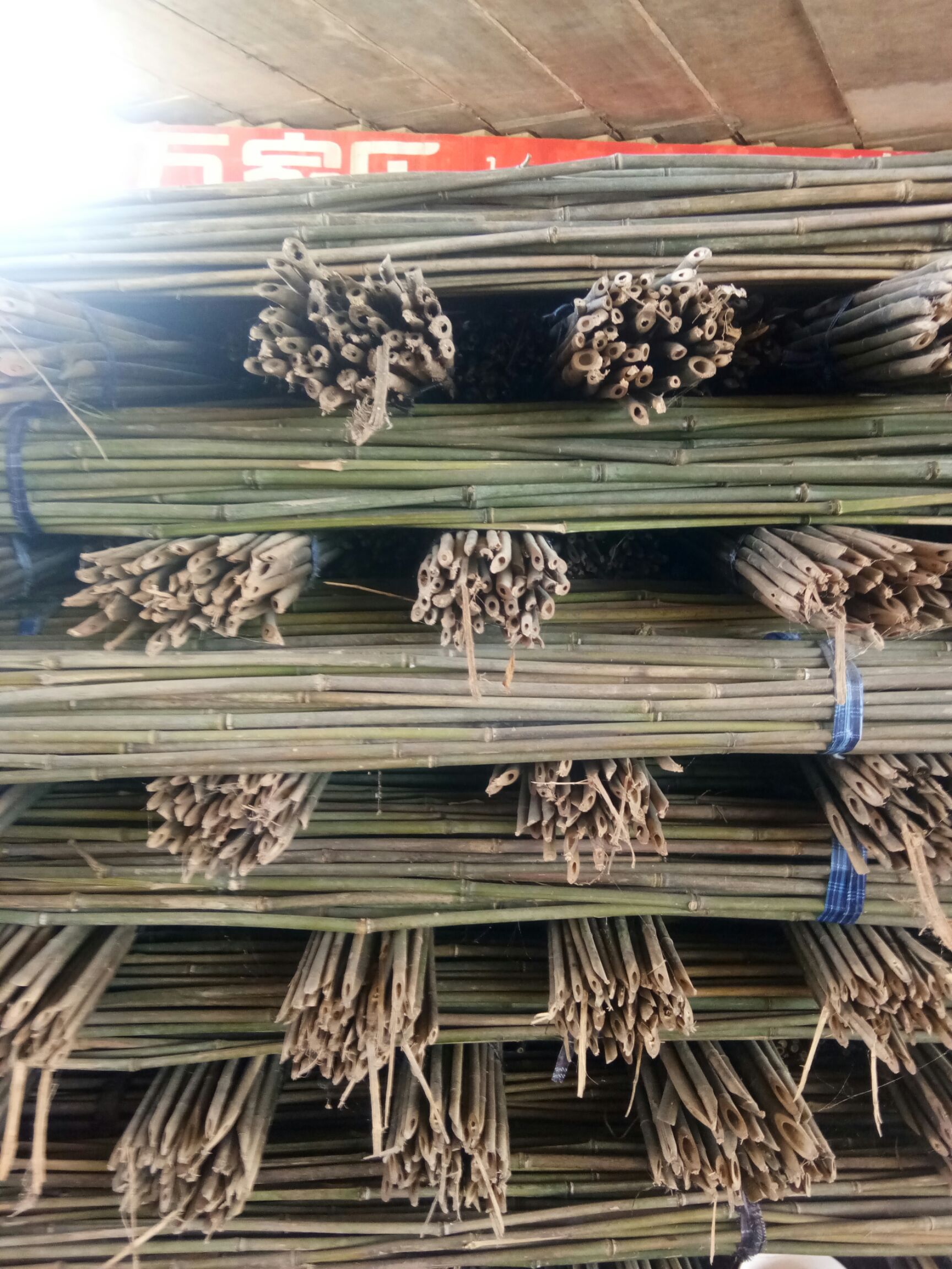 莱架竹  1.5-6米菜架竹价格实惠，水竹，苦竹
