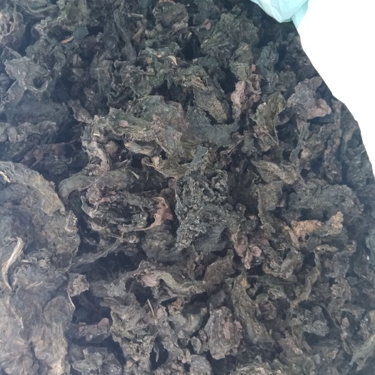 干地皮菜 野生地皮菜过筛干货，50斤以上包邮，质量保证