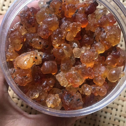 凤台县 桃胶