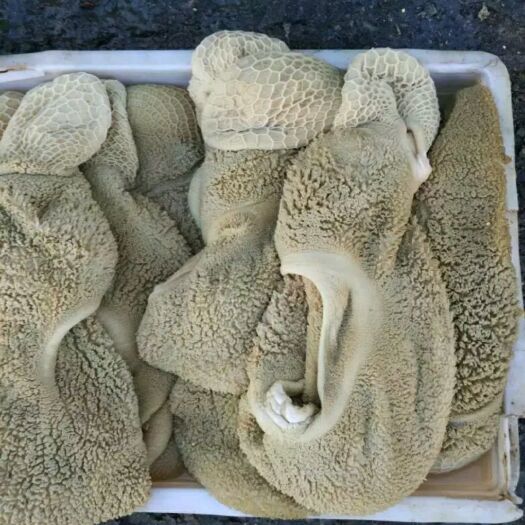 定襄县出售牛肚（金钱肚）
