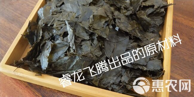 2024余庆小叶苦丁茶原叶片茶小叶苦丁老叶片茶原汁原味更好喝