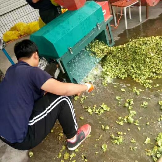 赞皇县 脱皮核桃