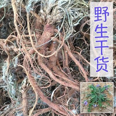 南召县苦地丁