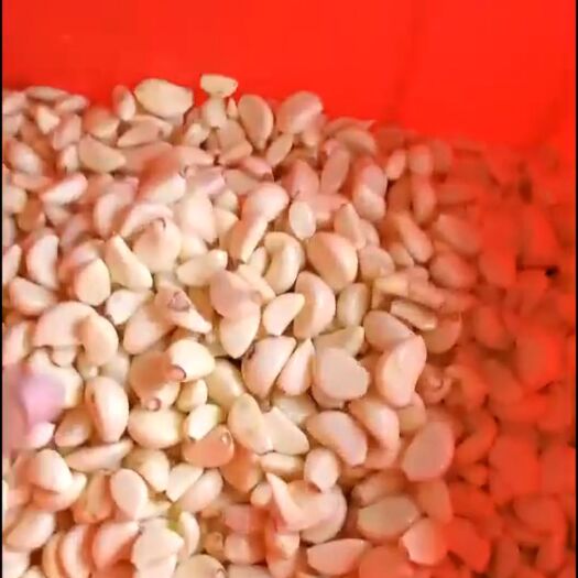 德江县 大量供应蒜米！