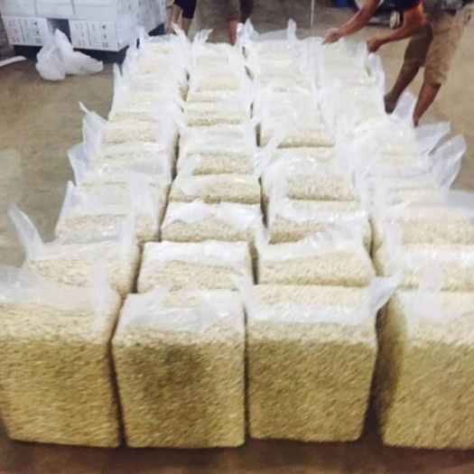 南宁腰果 18-24个月 包装