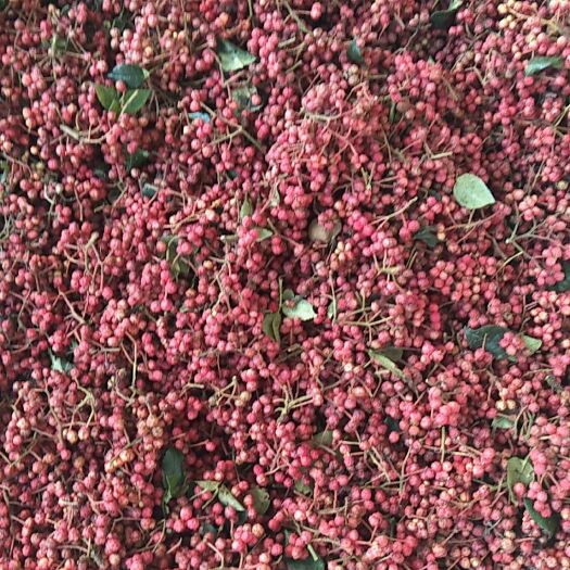 芮城县红花椒 货品数量有限