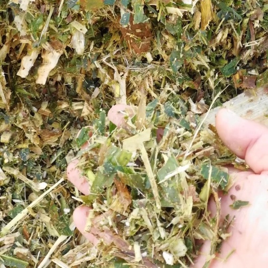 唐山玉米秸秆黄贮压块