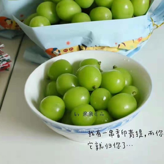 晋州市 香印青提葡萄供应