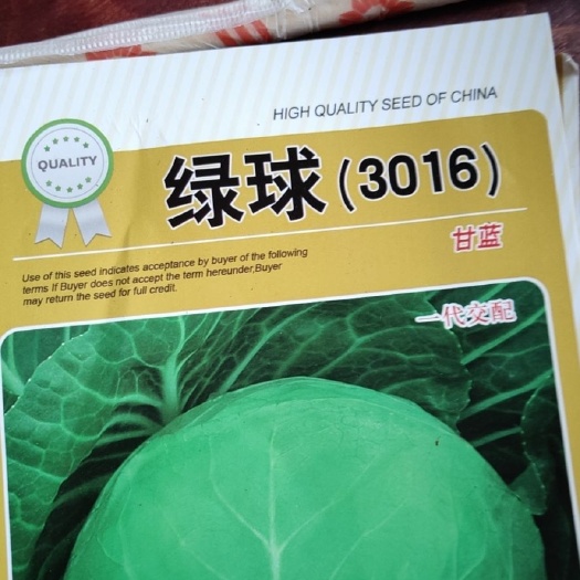 宿州有机花菜 穴盘苗