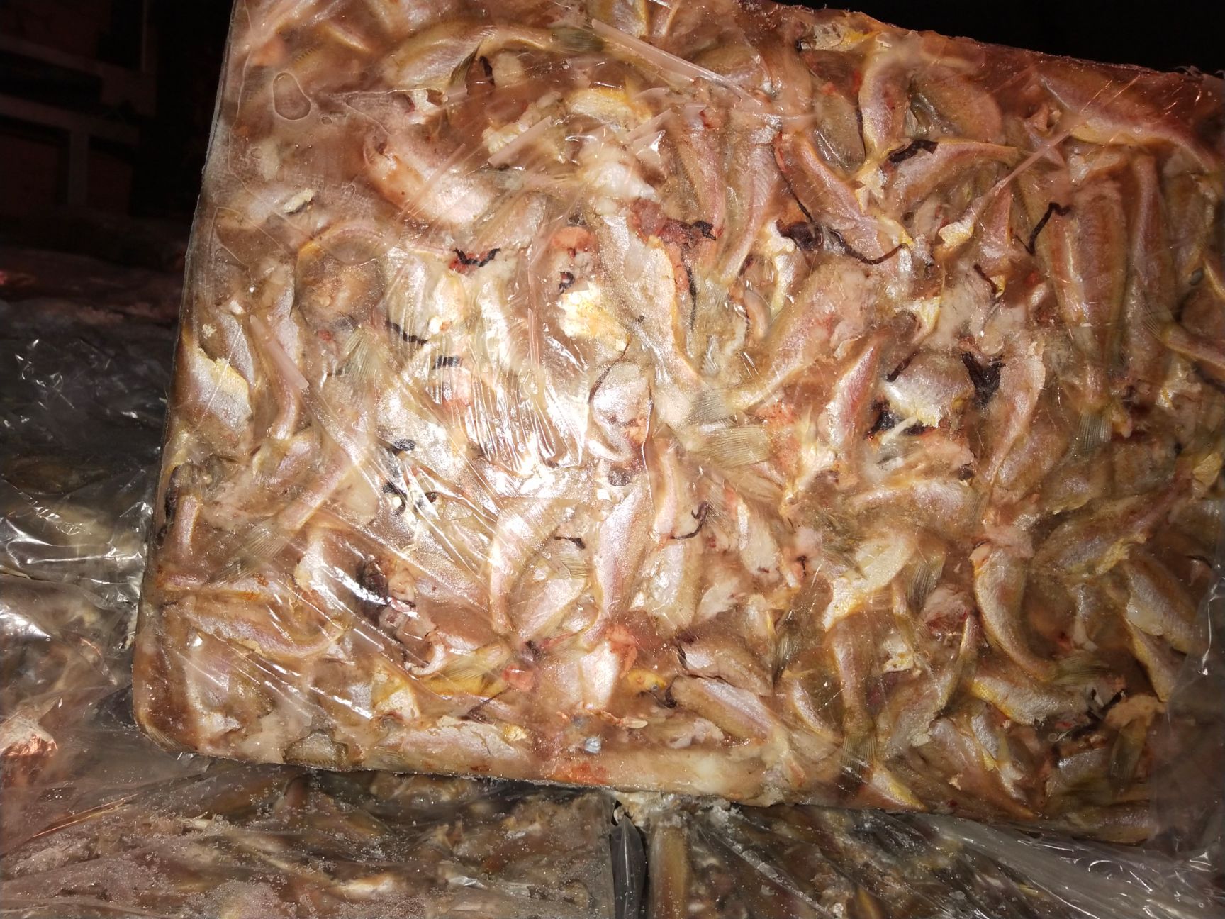 小黄鱼  去头小黄花鱼，食品厂，罐头厂原料