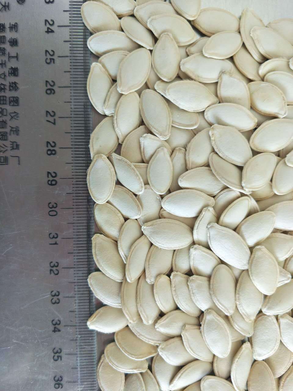 西瓜子仁 专业生产南瓜籽仁、葵花籽仁、南瓜籽、葵花籽、枸杞