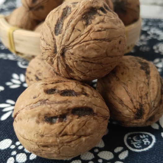 富平县鲜核桃 鲜果