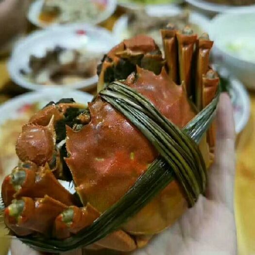 兴化市 大蟹小虾-江苏兴化红膏大闸蟹