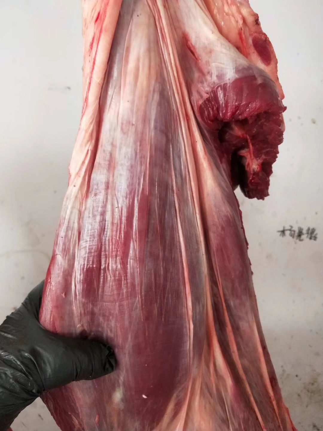  牛腩