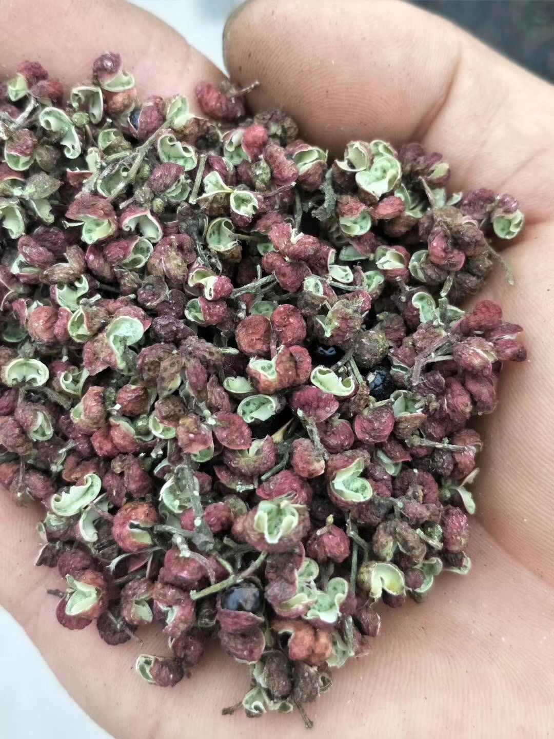 大红袍花椒 二级 干花椒