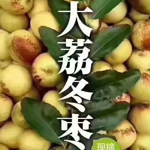 大荔县夏黑葡萄 陕西冬枣，自己家种的香甜可口
